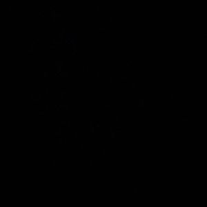 Meet your Posher, Curtis